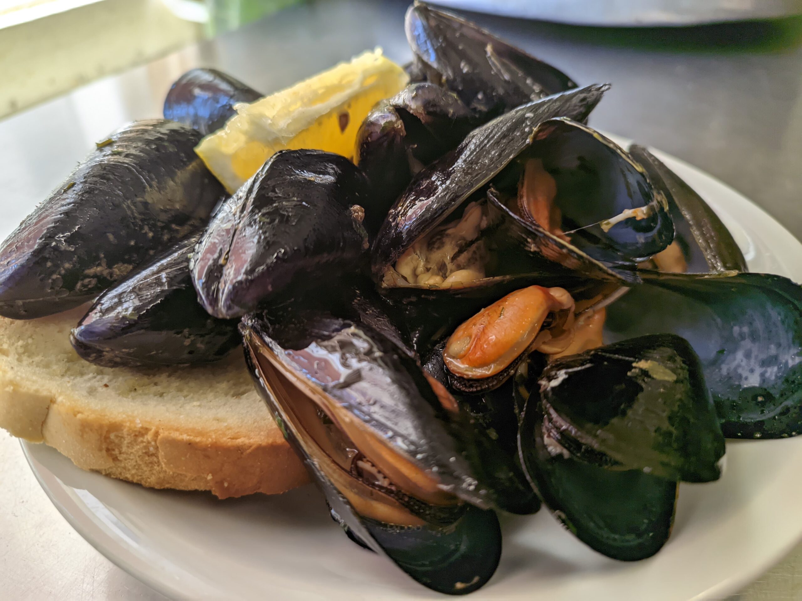 Riccione cucina cozze alla marinara